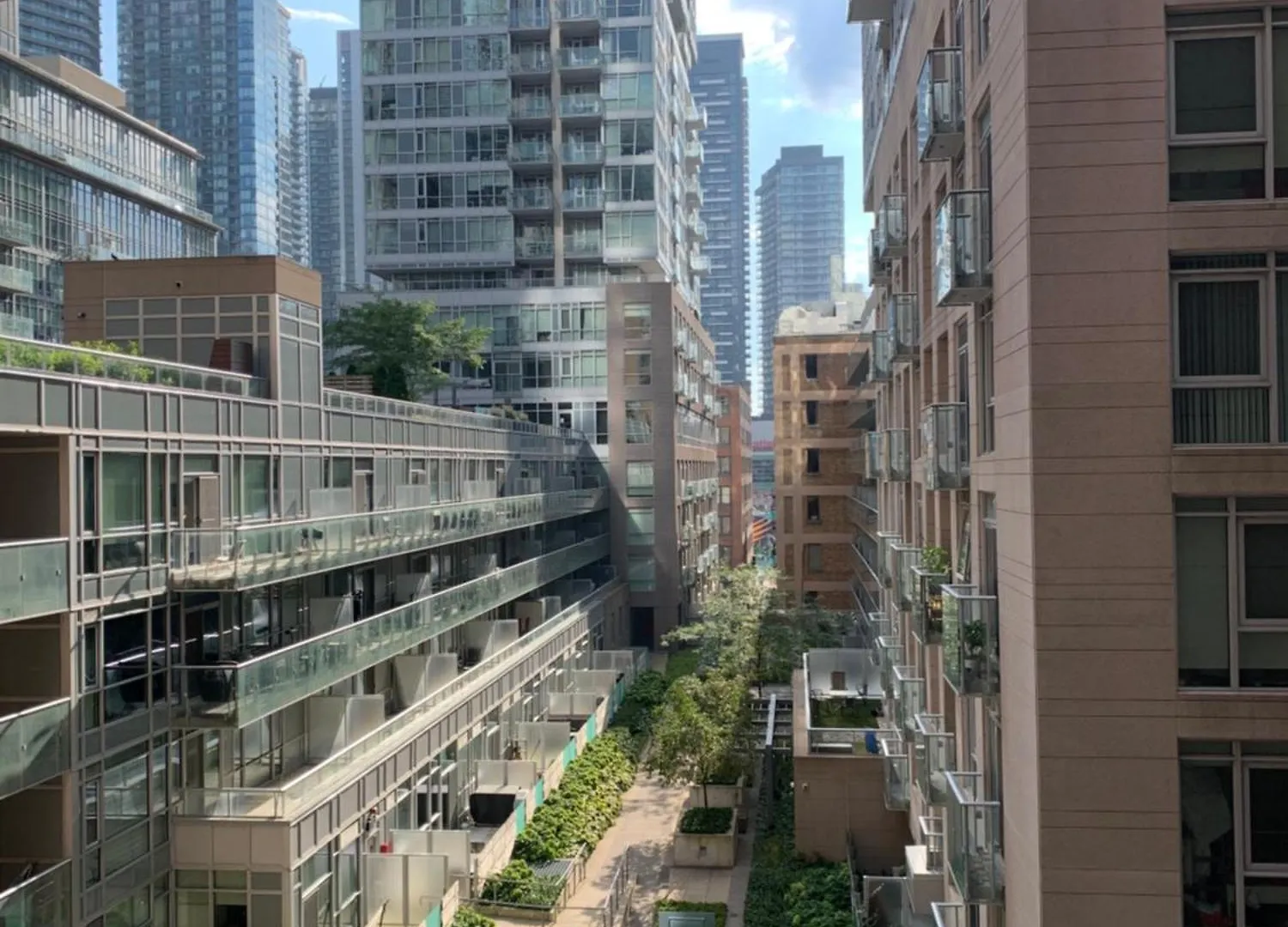 公寓 Boutique Suite Of Downtown 多伦多 加拿大
